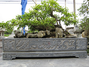 Chậu Đá 12